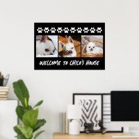 Su mascota perro chihuahua personalizado fotos nom