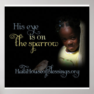 Póster Su ojo está en el Poster Sparrow