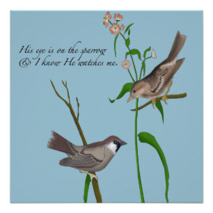 Póster Su ojo está en el Sparrow
