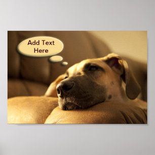 Póster Su texto dane puppy