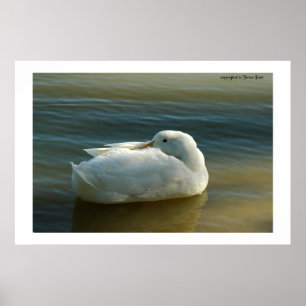 Póster Suave en blanco