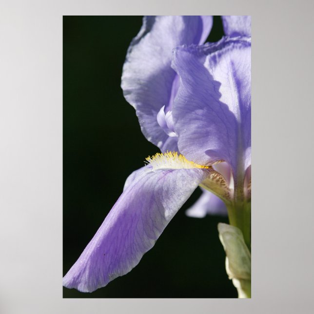 Póster Suave Y Delicado (Frente)