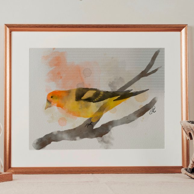 Póster Subdivisión de Aves Amarillas del Oeste del Tanage (Subido por el creador)