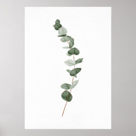 Póster Subdivisión Eucalyptus