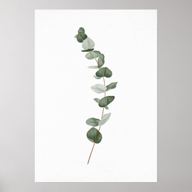 Póster Subdivisión Eucalyptus (Frente)