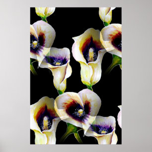 Póster Sublime acuarela Arum Calla Lilies