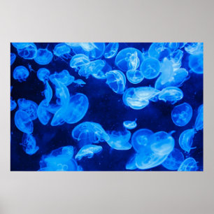 Póster Submarino Blue Jellyfish