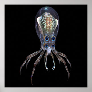 Póster Subnautica Crabsquid