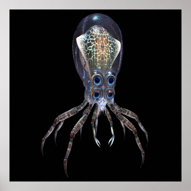 Póster Subnautica Crabsquid (Frente)