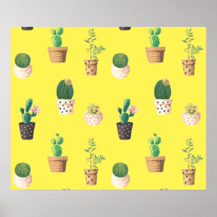 Póster Suculento cactus de postre verde en macetas