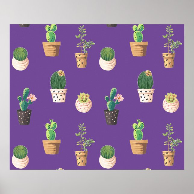 Póster Suculento cactus de postre verde en macetas (Frente)
