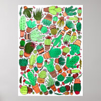 Suculento Cactus Potted Plants Green Cacti Garden