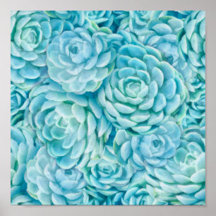 Póster Suculentos azules