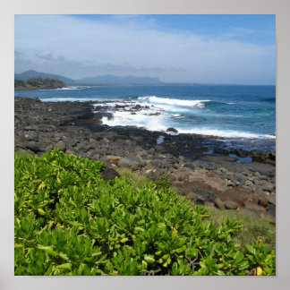 Póster Suculentos de Kauai 2