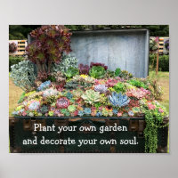 Suculentos en el tesoro de Chest