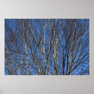 Póster Sucursales de Birch 02