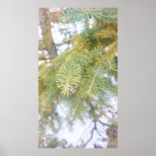 Póster Sucursales de nieve. ¡Hazte con una en Zazzle