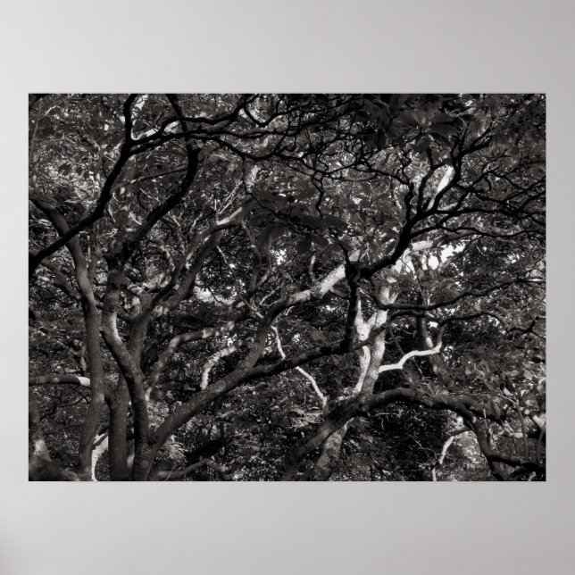 Póster Sucursales japonesas III (Frente)