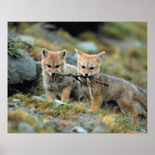 Póster Sudamérica, Chile, Torres del Paine Nacional