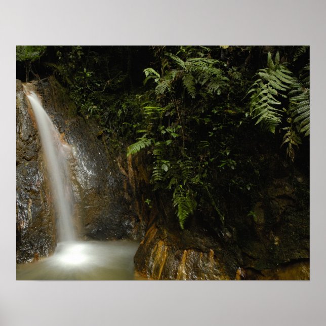 Póster Sudamérica, Ecuador, pendiente oriental de la (Frente)