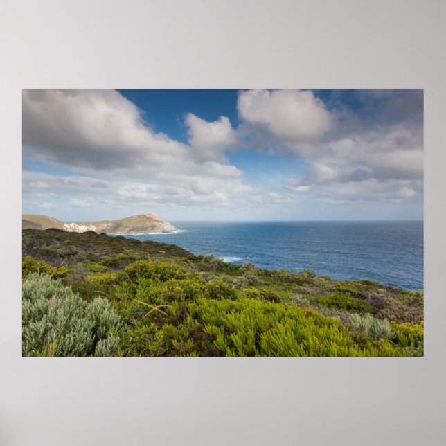 Póster Sudoeste de Australia, Albany (Frente)