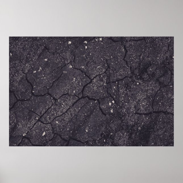 Póster Suelo humus (Frente)