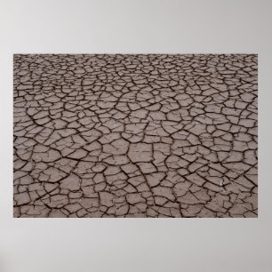 Póster Suelo seco