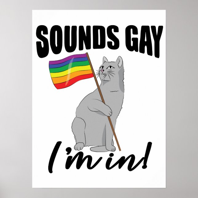 Póster Suena gay, estoy en gato (Frente)