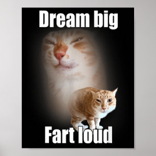 Póster Sueña Grande Pedo Fuerte Gato Meme Dicho Divertido