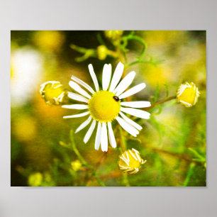 Póster Sueño amarillo de la naturaleza