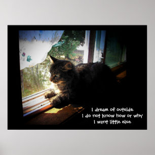 Póster Sueño con haiku exterior