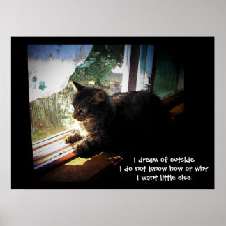 Póster Sueño con haiku exterior
