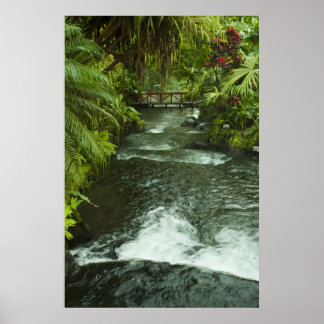 Póster Sueño de Costa Rica