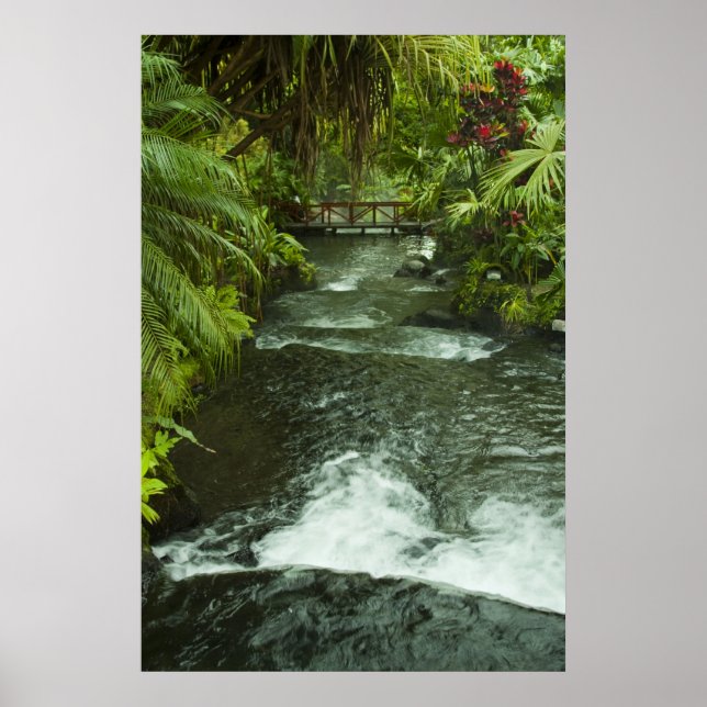 Póster Sueño de Costa Rica (Frente)