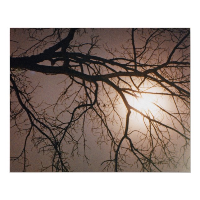 Póster Sueño de luna (Anverso)