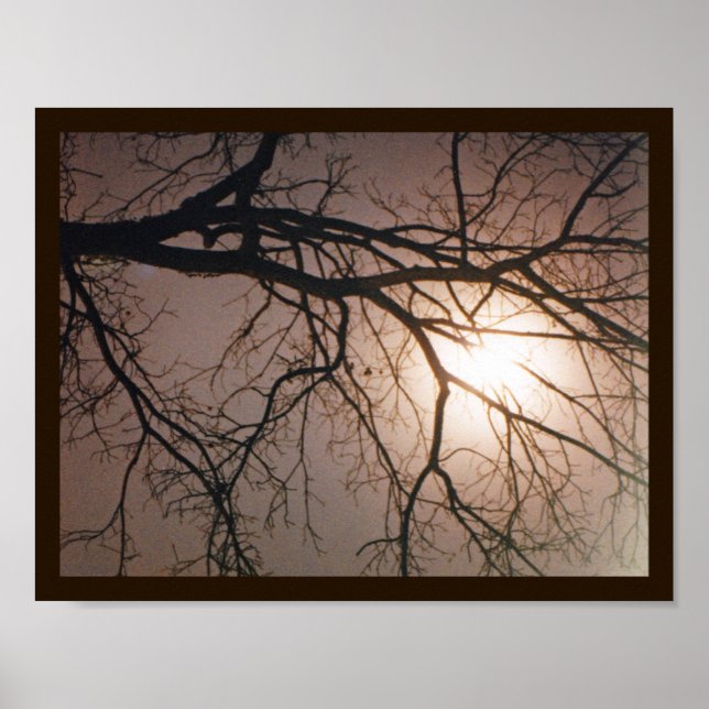 Póster Sueño de luna (Frente)