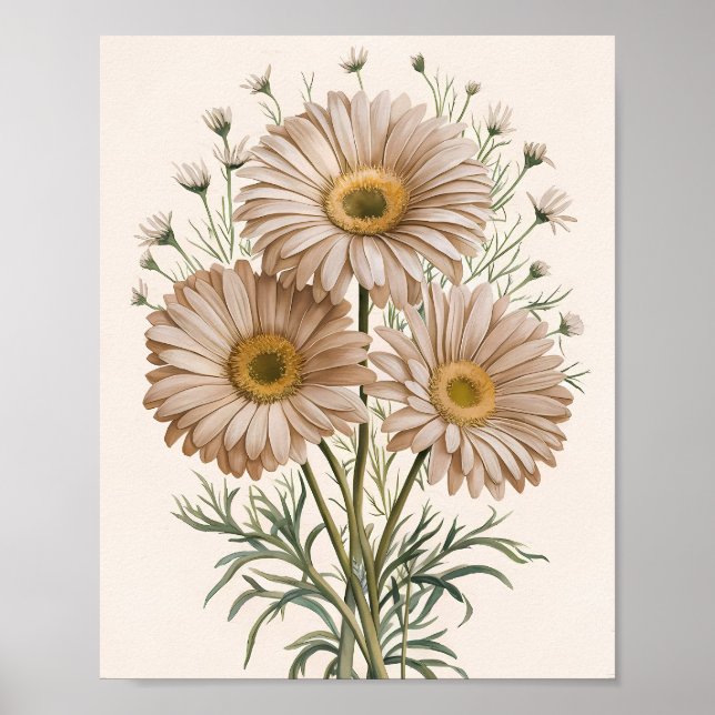 Póster Sueño de margarita (Frente)