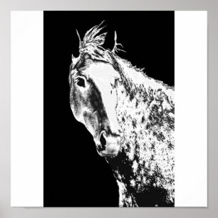 Póster sueño plateado