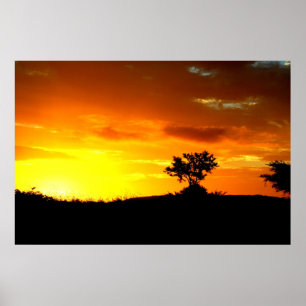 Póster Sueños de África