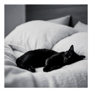 Póster Sueños de Ébano: Comodidad y Encanto Felino