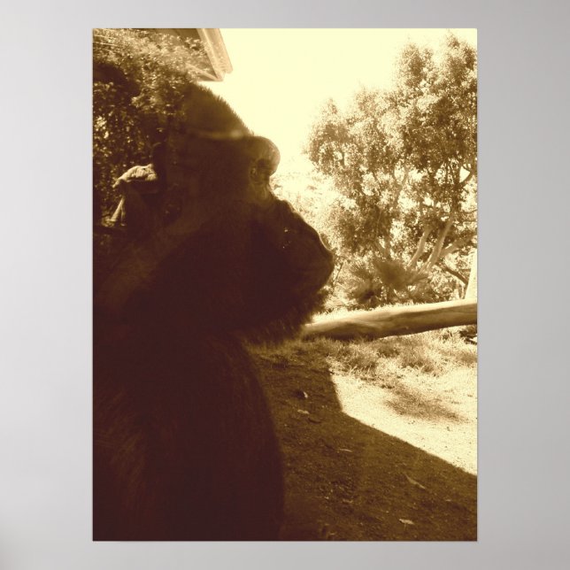 Póster Sueños de gorila (Frente)