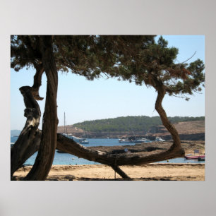 Póster Sueños de Ibiza