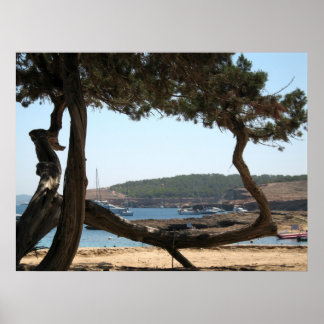 Póster Sueños de Ibiza