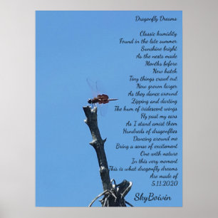 Póster sueños de libélula