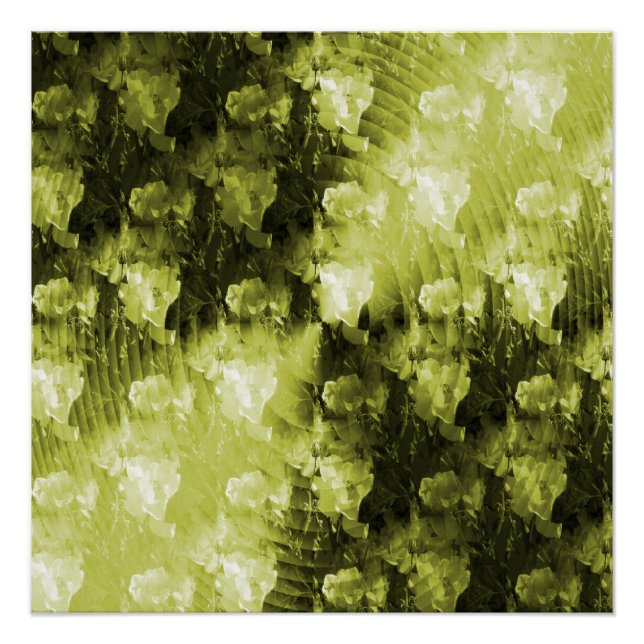 Póster Sueños de luz solar... (Anverso)