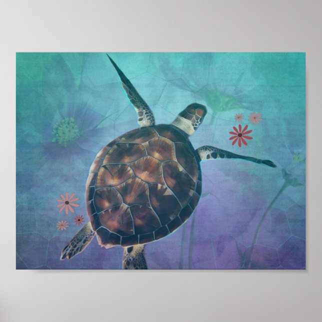 Póster Sueños De Tortugas De Mar (Frente)
