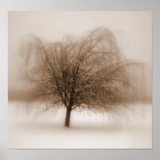 Póster Sueños místicos