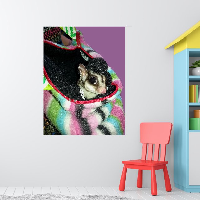 Póster Sugar Glider con sombrero (Guardería 1)