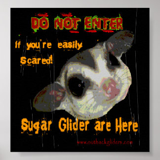 Póster Sugar Glider Poster