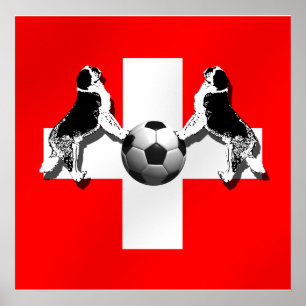 Póster Suiza Fútbol - Copa Mundial de Brasil 2014